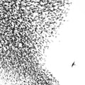 Wilco - Sky Blue Sky Vinyl