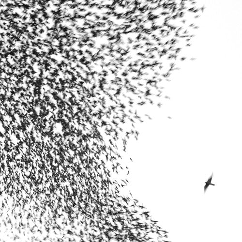Wilco - Sky Blue Sky Vinyl