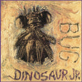 Dinosaur Jr. - Bug Vinyl