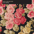 the album cover for Mark Lanegan Band - Blues Funeral