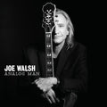 the album cover for Joe Walsh - Analog Man
