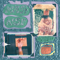 Modest Mouse - Sad Sappy Sucker Vinyl