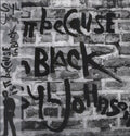 the album cover for Syl Johnson - Is It Because I'm Black