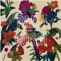 Washed Out - Paracosm Vinyl