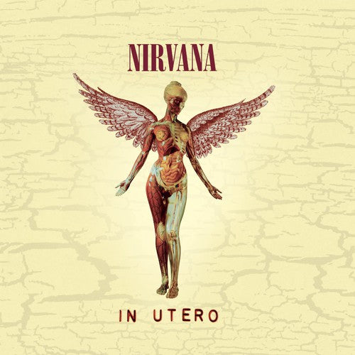 Nirvana - In Utero (20th Anniversary Edition) CD