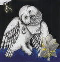 Songs: Ohia - Magnolia Electric Company Co Vinyl