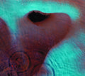 Pink Floyd - Meddle CD