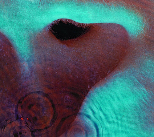 Pink Floyd - Meddle CD