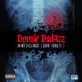 the album cover for Boosie Badazz - In My Feelings (Goin' Thru It)