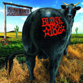 Blink 182 - Dude Ranch Vinyl