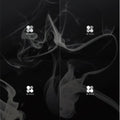 BTS - Wings (Vol 2) (Random cover, incl. 96-page photobook and one random polaroid card) CD