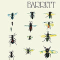 the album cover for Syd Barrett - Barrett