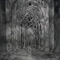 the album cover for Nhor - Within The Darkness Between The Starlight [180 Gram]