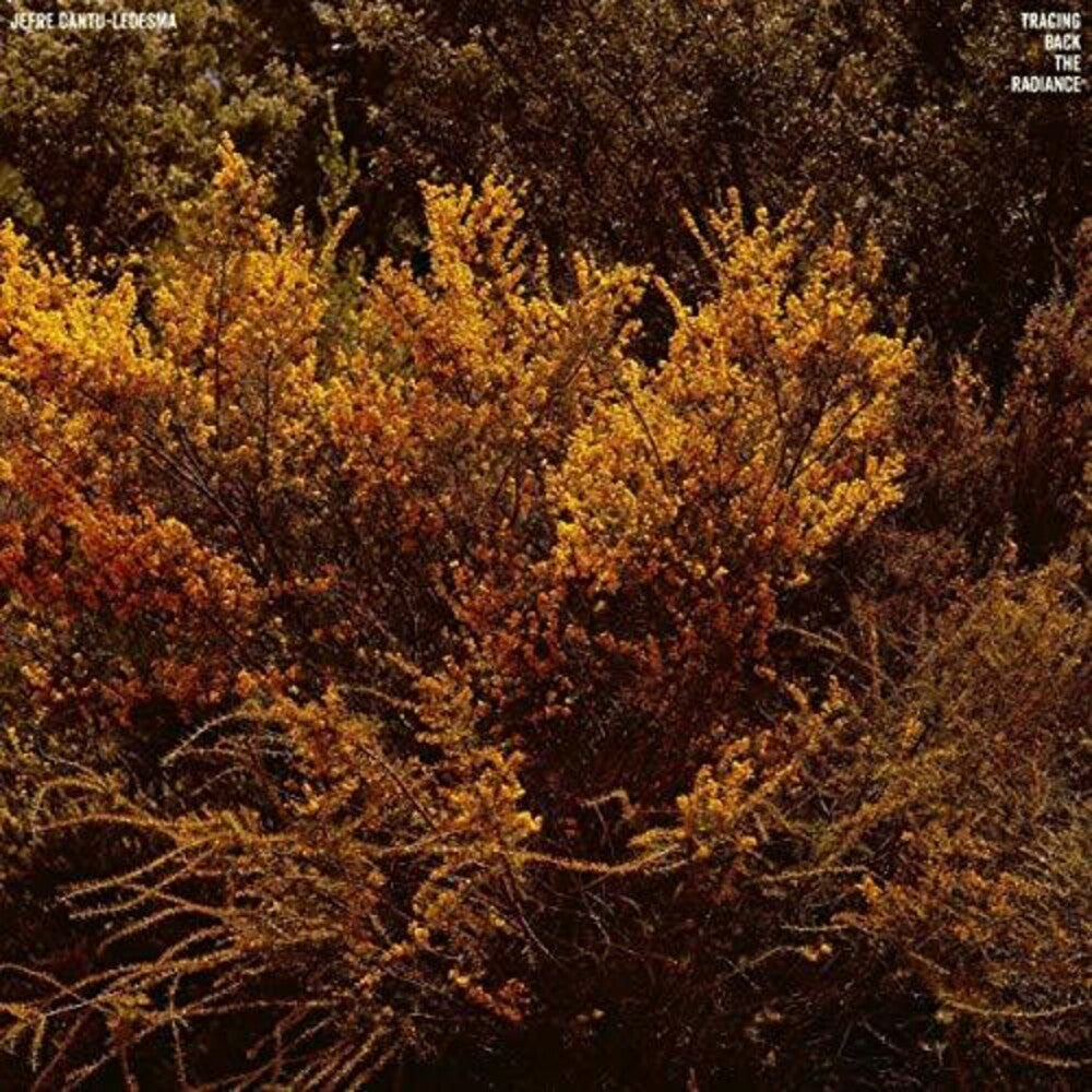 the album cover for Jefre Cantu-Ledesma - Tracing Back The Radiance [LP]