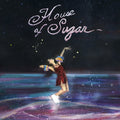 the album cover for Alex G - House Of Sugar