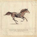 Turnpike Troubadours - A Long Way From Your Heart Vinyl