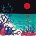 the album cover for glass beach - the first glass beach album