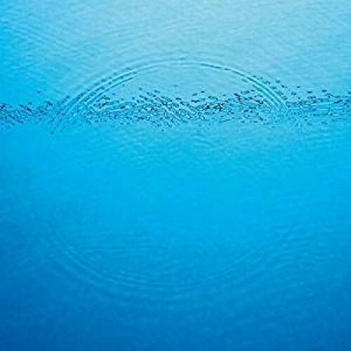 Caribou - Suddenly Vinyl