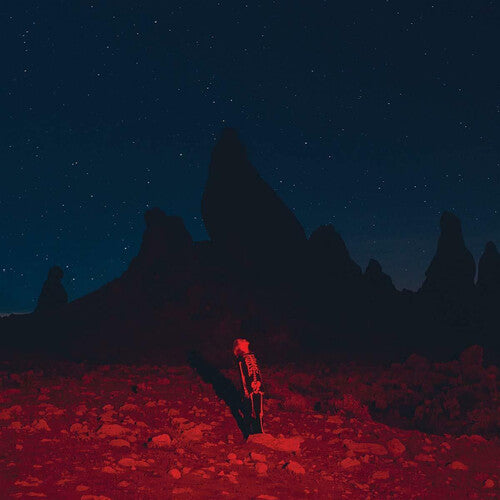 Phoebe Bridgers - Punisher Vinyl