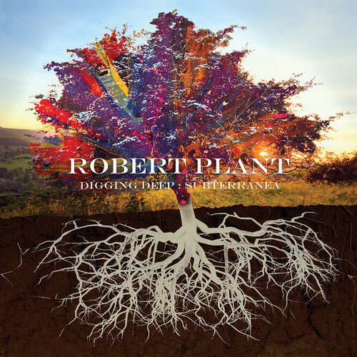 Robert Plant - Digging Deep: Subterranea CD