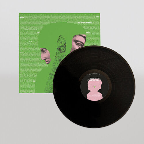 Teenage Fanclub - Endless Arcade Vinyl