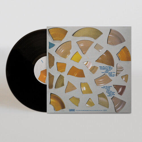 The Clean - Unknown Country Vinyl