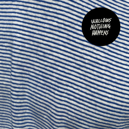 Wallows - Nothing Happens Vinyl