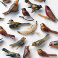 the album cover for Kishi Bashi - Omoiyari