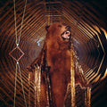 My Morning Jacket - It Still Moves [Golden Smoke 2 LP] Vinyl