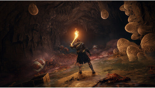 Elden Ring for PlayStation 5 - PS5