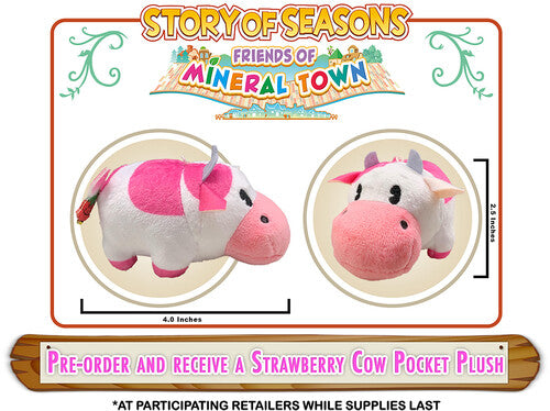 Story of Seasons: Friends of Mineral Town for Xbox One - Xbox One