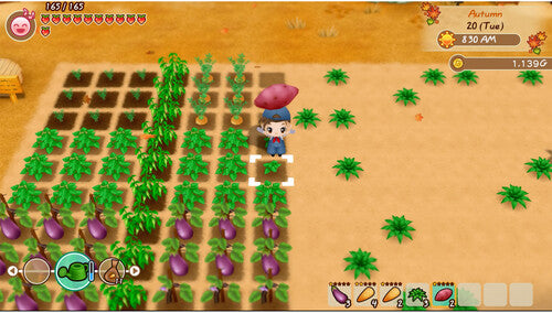 Story of Seasons: Friends of Mineral Town for Xbox One - Xbox One