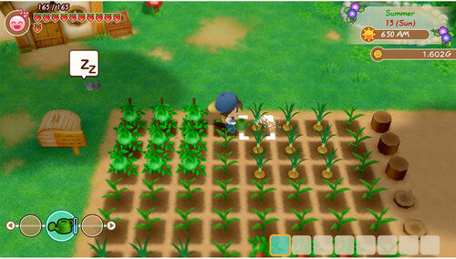 Story of Seasons: Friends of Mineral Town for Xbox One - Xbox One