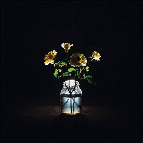Billy Strings - Renewal Vinyl