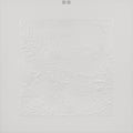 Bon Iver - Bon Iver (10th Anniversary Edition) CD