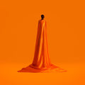 the album cover for Wayne Snow - Figurine (Uk)