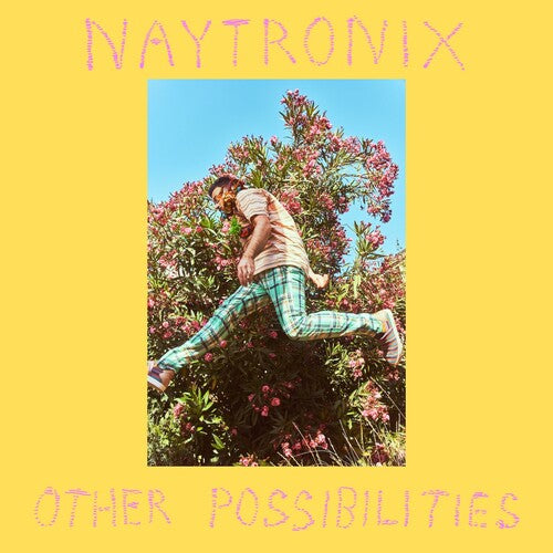 Naytronix - Other Possibilities Cassette