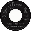 the album cover for Jr. Thomas & The Volcanos - Sunk In The Mist