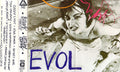 Sonic Youth - Evol Cassette