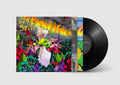 Built to Spill - When the Wind Forgets Your Name Vinyl