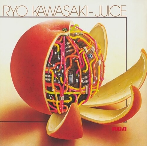 Ryo Kawasaki - Juice Vinyl