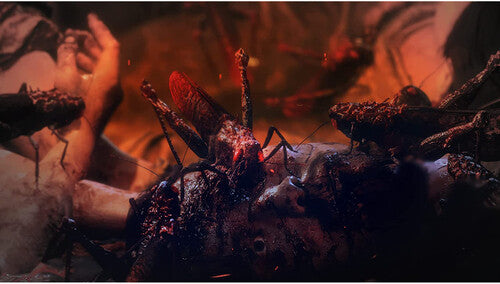 Wo Long: Fallen Dynasty for PlayStation 4 - PS4