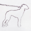 the album cover for Jonah Yano - Portrait Of A Dog