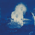 Fruit Bats - A River Running to Your Heart CD
