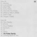 the album cover for Sylvan Esso - No Rules Sandy [Indie Exclusive Limited Edition Tiger's Eye LP]