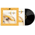 the album cover for A Perfect Circle - Thirteenth Step [Definitive Sound Series 180g]