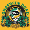 the album cover for Grateful Dead - On A Back Porch Vol. 4 [RSD BF 2026]