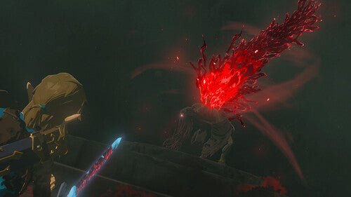 The Legend of Zelda: Tears of the Kingdom for Nintendo Switch - Switch