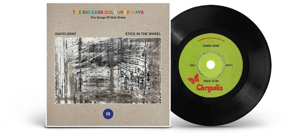 the album cover for David Gray - Endless Coloured Ways: The Songs Of Nick Drake