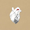 Swans - The Beggar CD